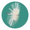 Combi brush M12, 150/350 mm