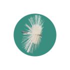 Combi brush M12, 200/400 mm