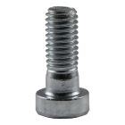 Cylinder screw M8 x 20 mm